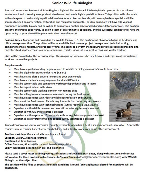 2022 - Senior  Wildlife Biologist Job Ad