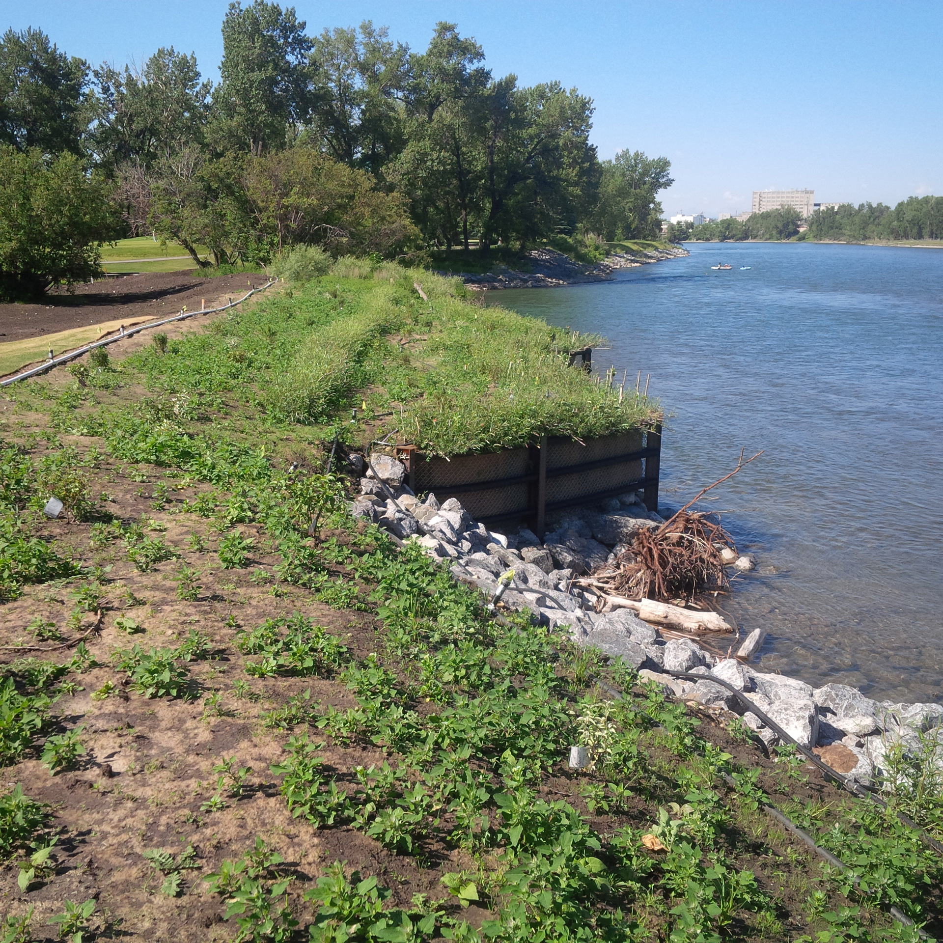 Bioengineering Course