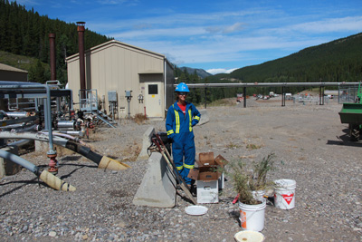 Environmental field technician conducting site reclamation work with native plants
