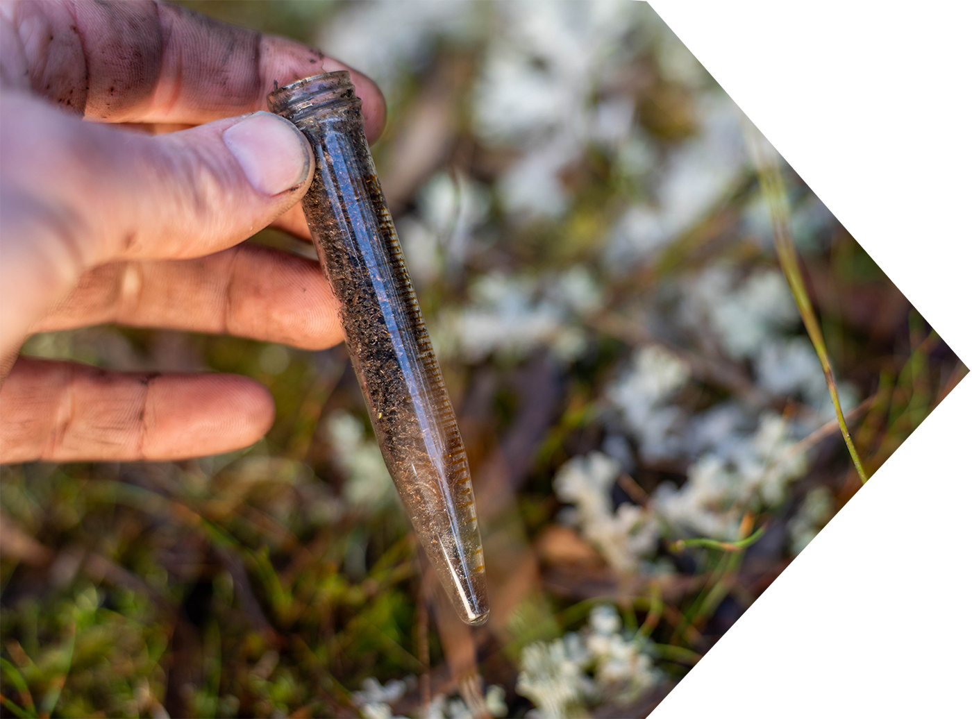 Environmental Assessment Shape