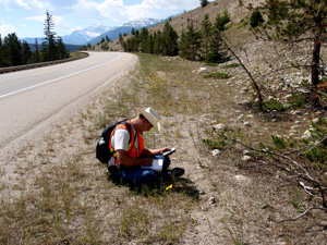 Invasive Plant Survey of the Kennedy Coulee Ecological Reserve