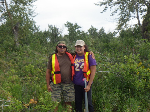 Piikani Cottonwood Study of the Oldman River Valley