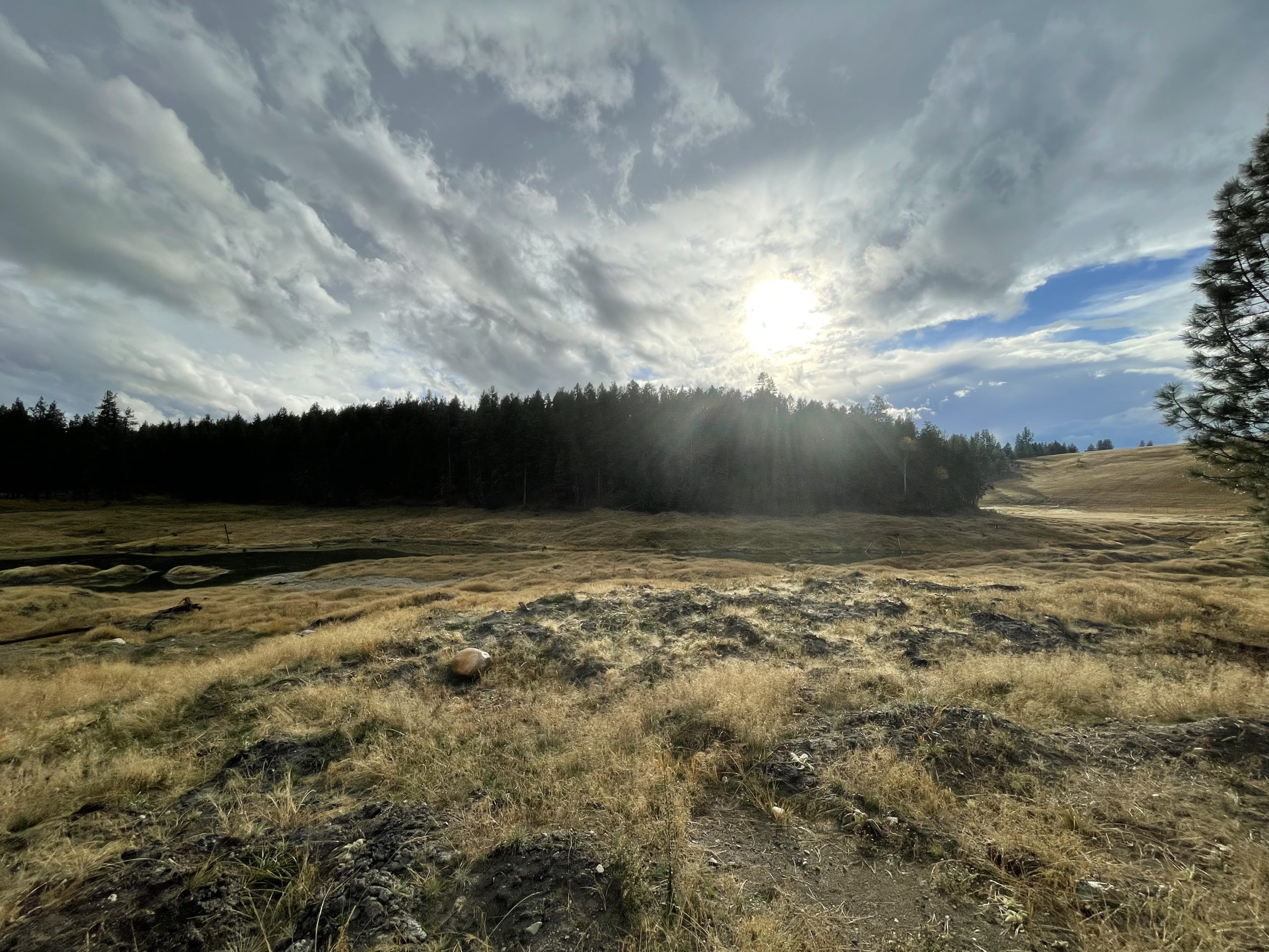 Photo 2024 10 21, 4 21 18 Pm